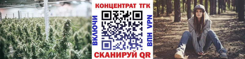 ТГК Wax  Мичуринск 