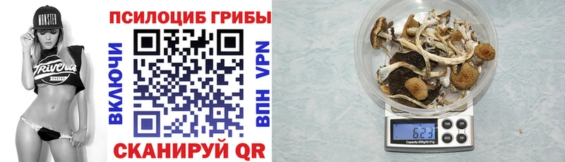 как найти закладки гидра ONION Псилоцибиновые грибы мухоморы Мичуринск